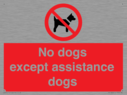 no-dogs-except-assistance-dogs~